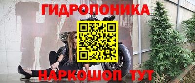 ECSTASY Заволжье