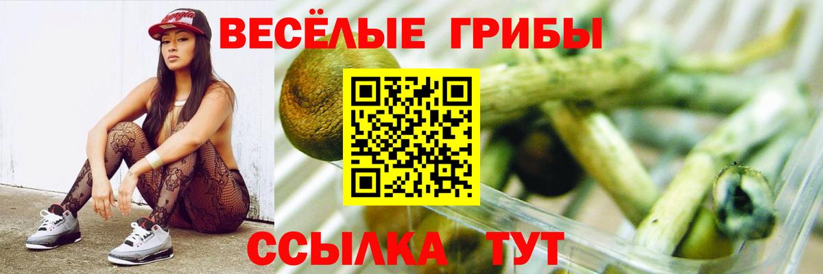 Галлюциногенные грибы Psilocybe Лесосибирск
