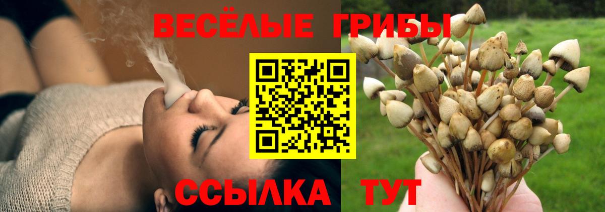 хочу   Псилоцибиновые грибы мухоморы  Вход с VPN  Галлюциногенные грибы прущие грибы  Лесосибирск 